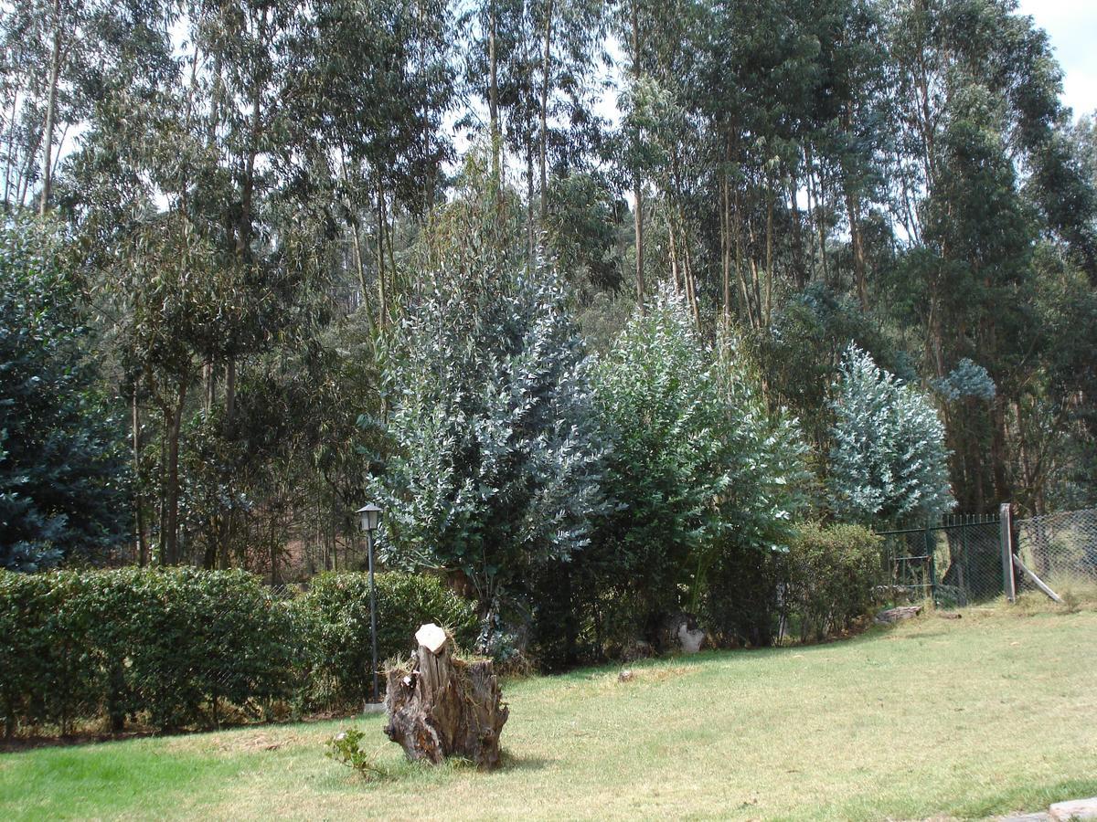 San Mateo Hotel Campestre Nobsa Esterno foto